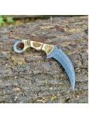 Handmade Damascus Steel Fixed Blade Karambit Knives